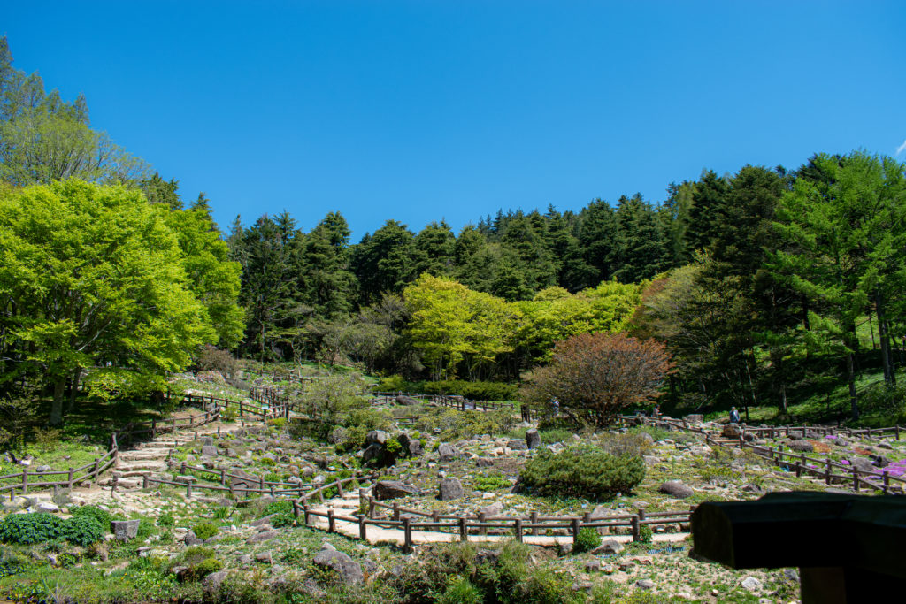 兵庫県　六甲高山植物園