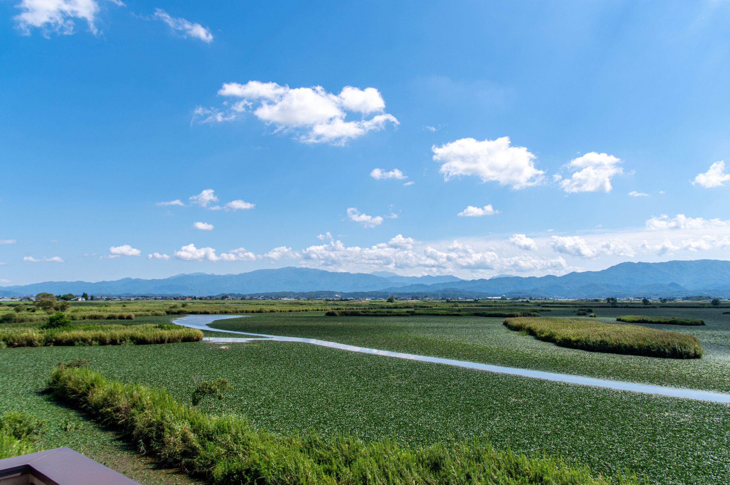 電車と無料レンタサイクルで行ける、新潟の自然を満喫出来る場所。新潟県の福島潟への行き方。
