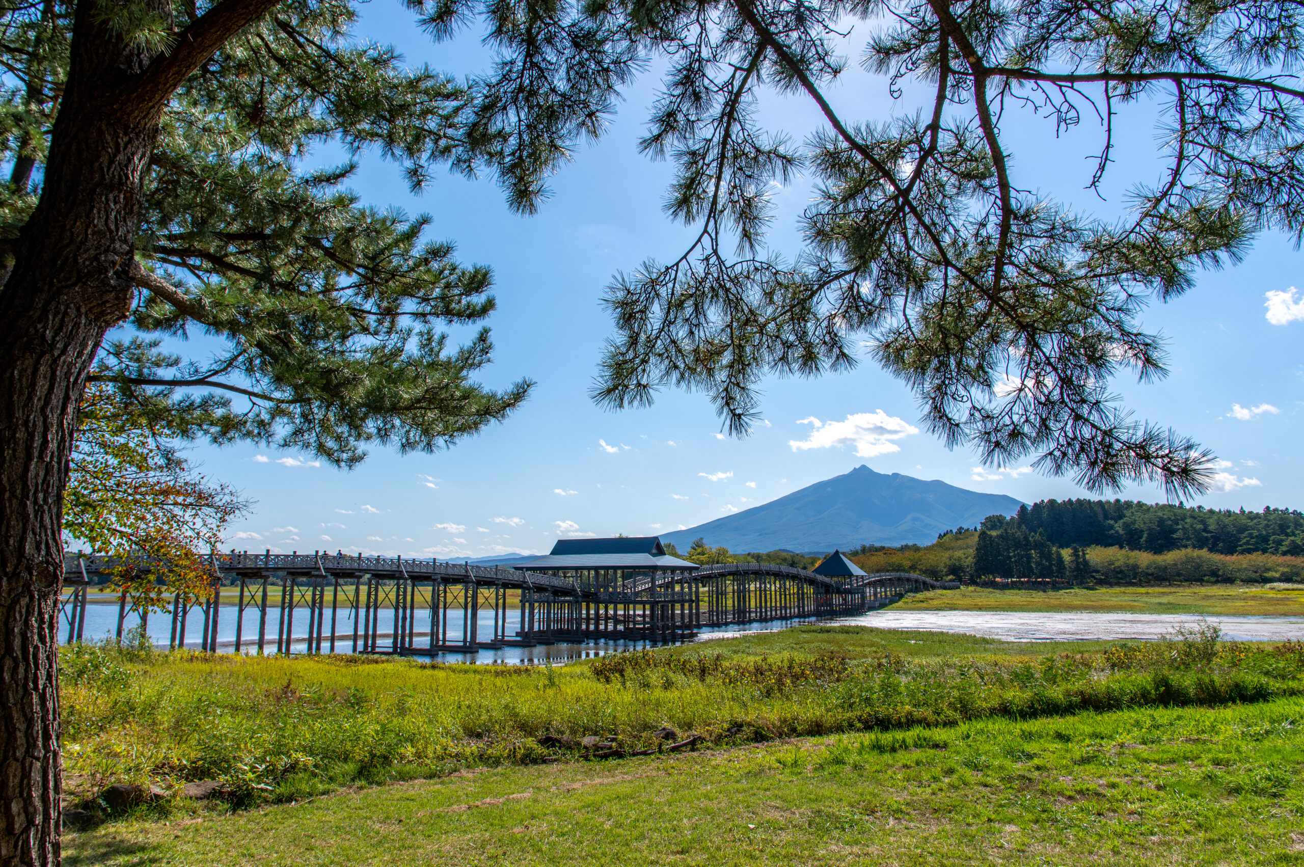 日本一長い木造の橋へ、電車と自転車で行ってみよう。青森県の鶴の舞橋への行き方。