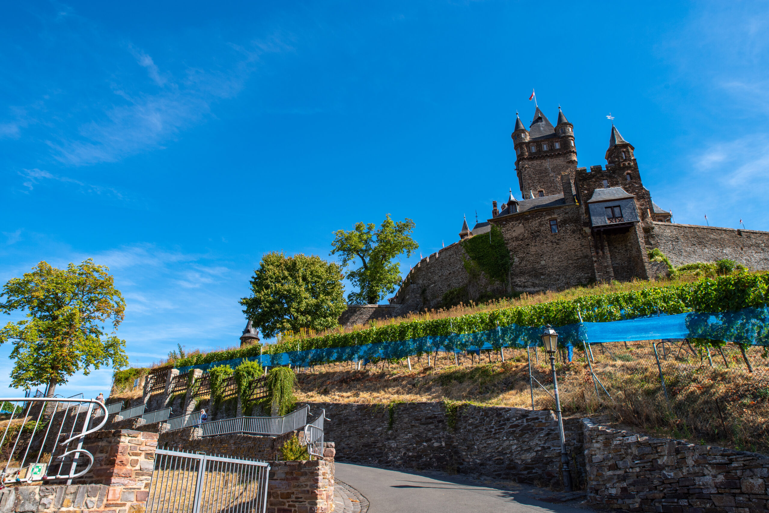ワイン畑に囲まれた歴史の深い古城！ドイツのコッヘム城への行き方。