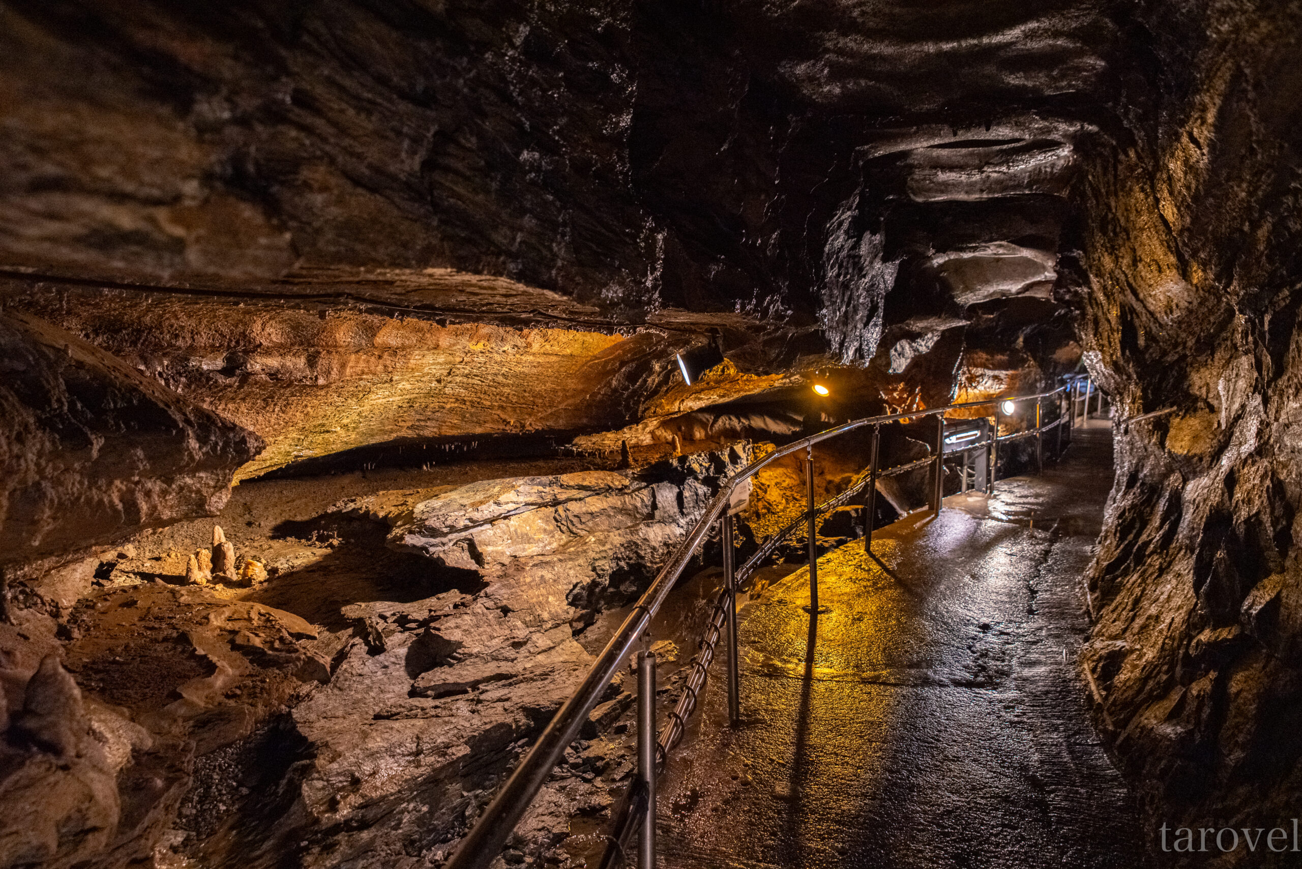 バス1本で楽々に行ける東海地区最大級の鍾乳洞！静岡県の竜ヶ岩洞への行き方