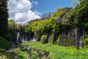 静岡県　白糸自然公園