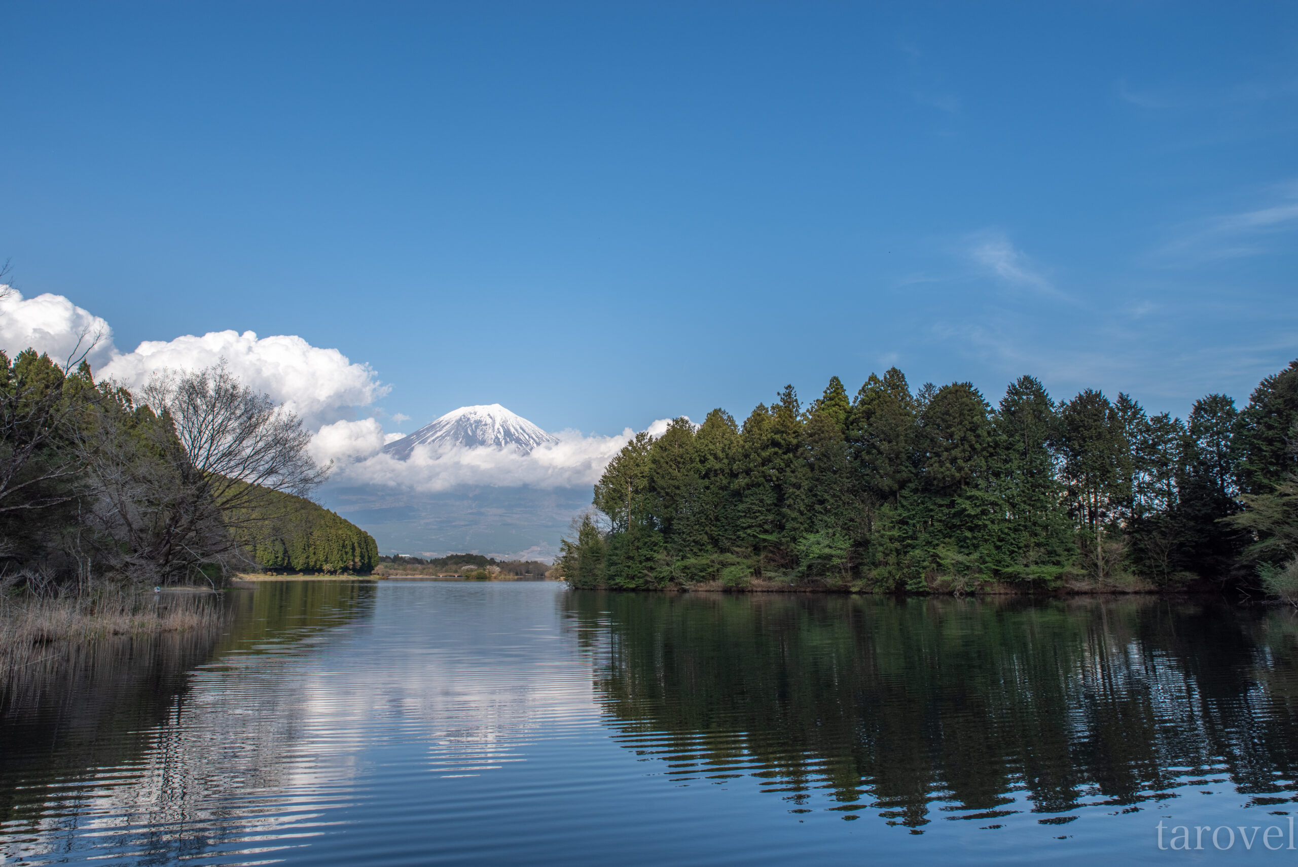 白糸の滝からバス1本で行ける湖の絶景スポット。静岡県の田貫湖への行き方